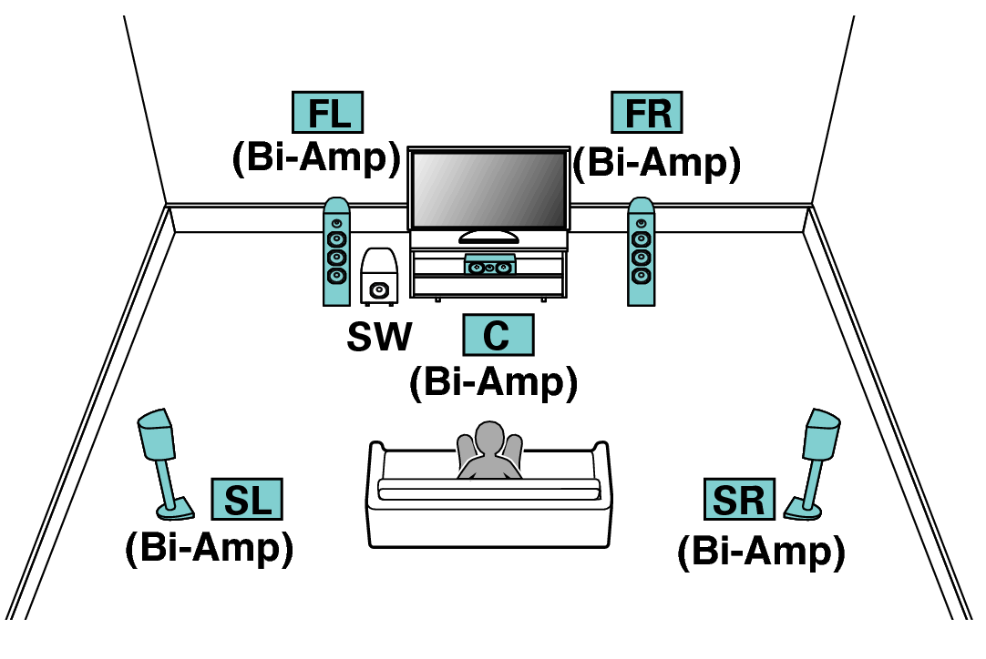 Pict SP Layout 5.1 BiAmp X64